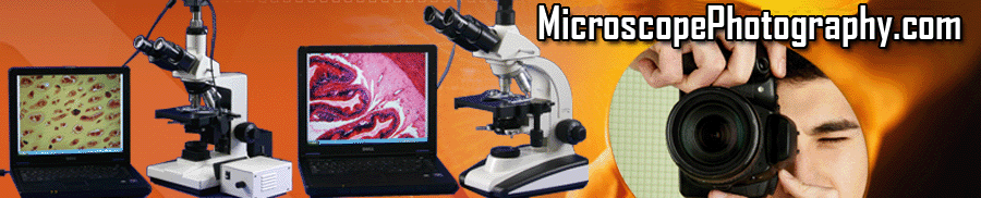 All About microscope photography